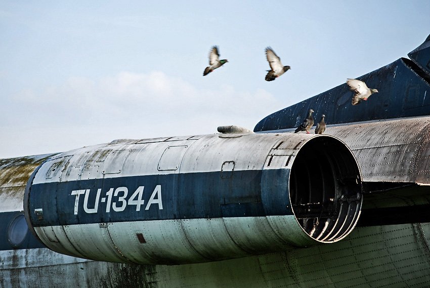 Emeryt wśród asów.