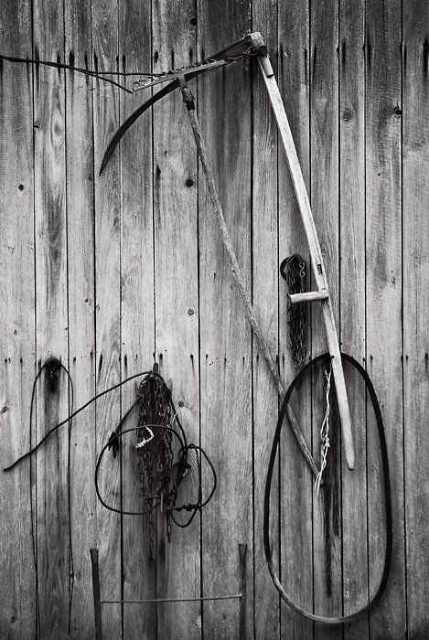 Martwa natura z kosą