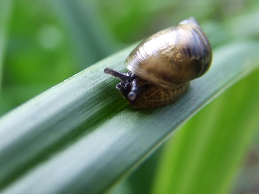 droga w nieznane.....