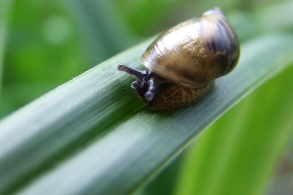 droga w nieznane.....