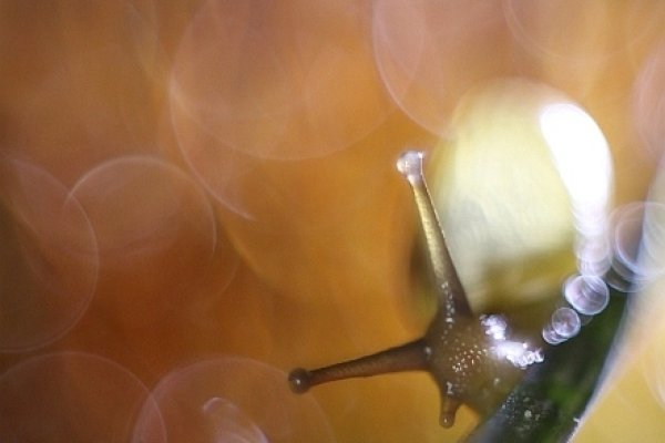 a teraz z górki.....