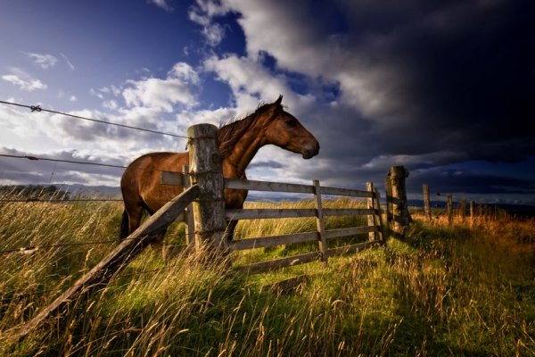 Wherever There Is Light