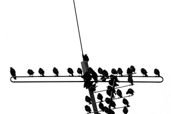 >SPÓŹNIŁEŚ SIĘ !!