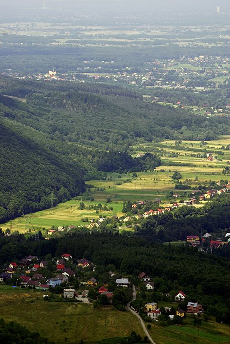 into the great wide open #2