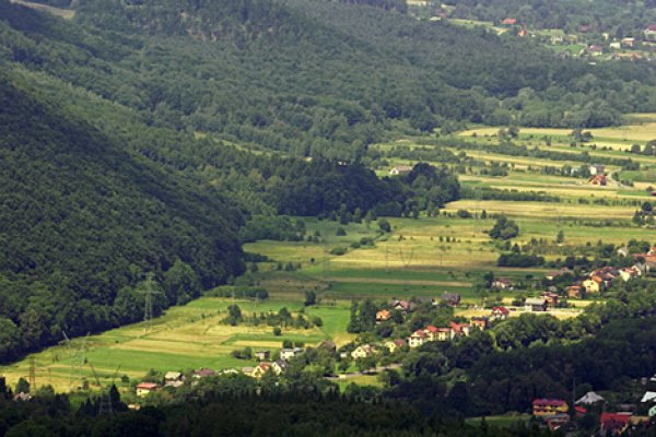 into the great wide open #2