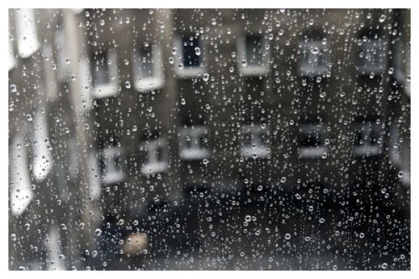 szara rzeczywistość