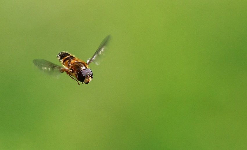 Lecę bo chcę... :)