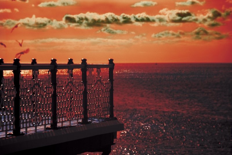 Ptaszyska na molo w Brighton