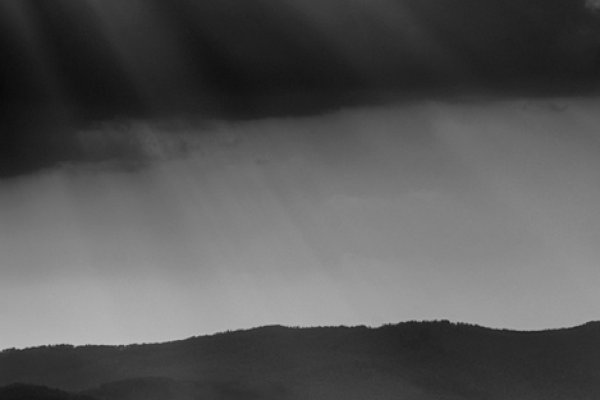 Tylko promyki wesołe