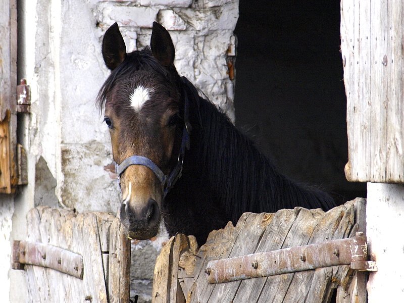 Tak sobie mieszkam...