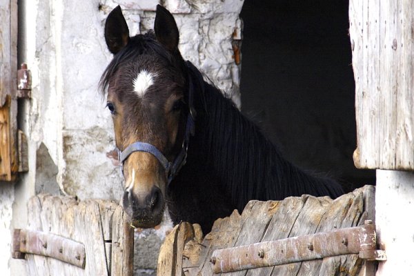 Tak sobie mieszkam...