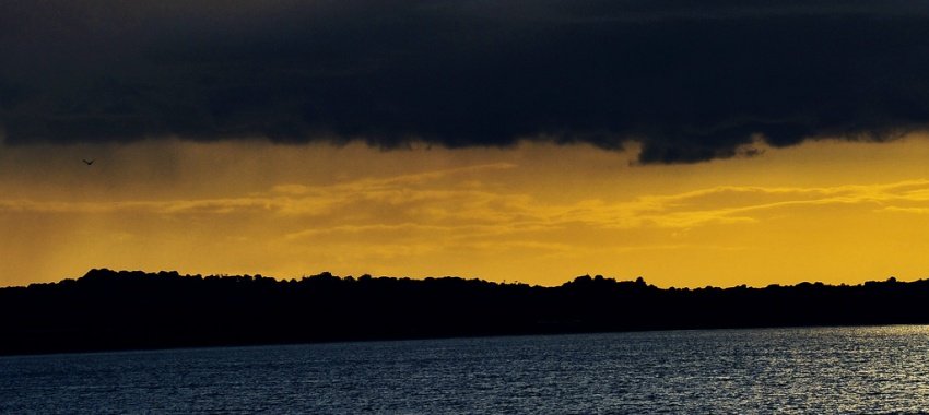 idzie deszcz, idzie sikawica!