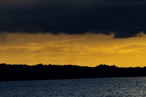 idzie deszcz, idzie sikawica!