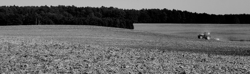 Samotność długodystansowca