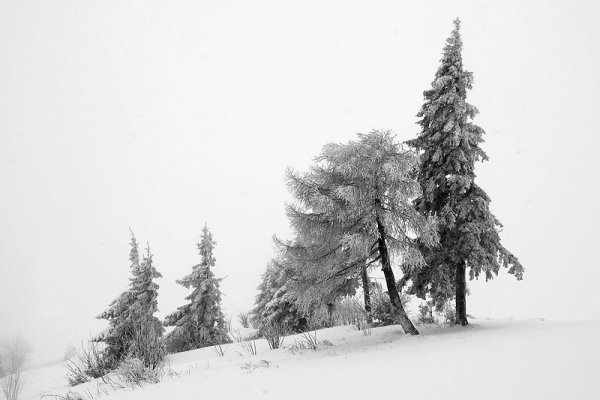 Zimowe wspomnienie #2