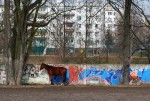 Końskie graffiti