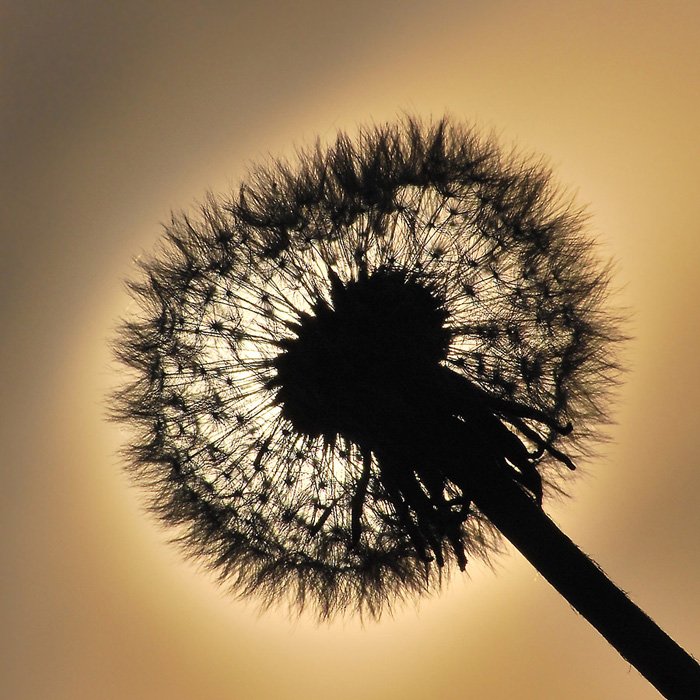 Dmuchadło z mojego punktu widzenia ;)