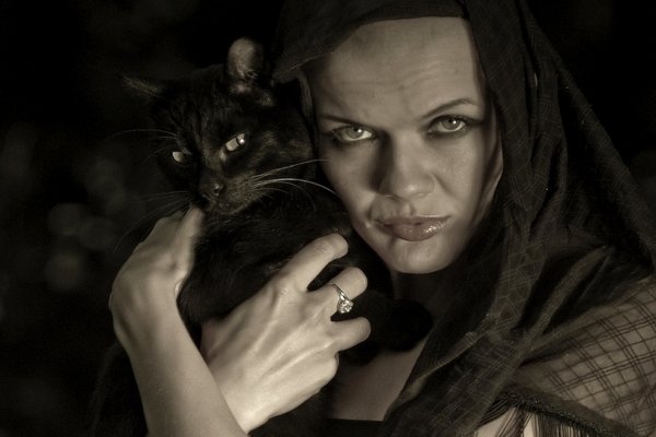 ...The Black Cats...