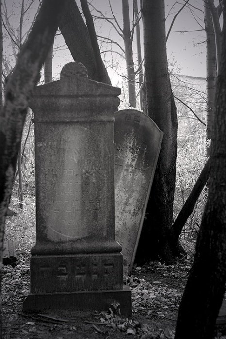 Cmentarz żydowski 2