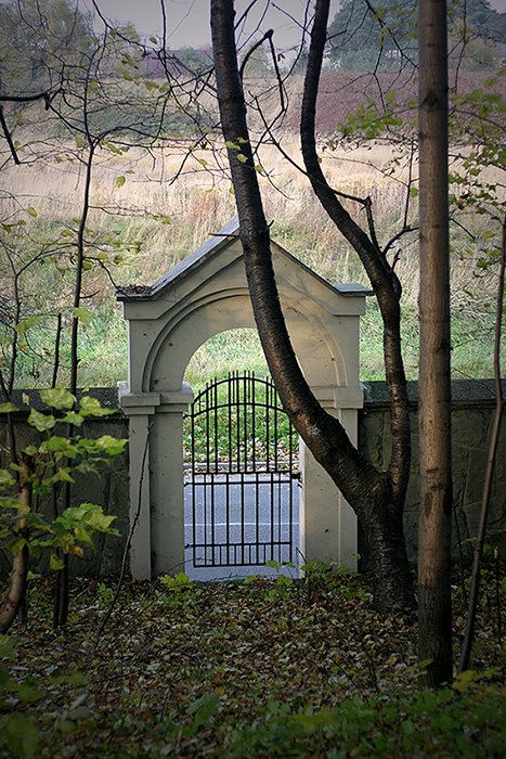 Cmentarz żydowski 4