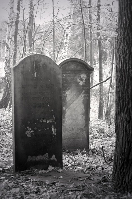 Cmentarz żydowski 5