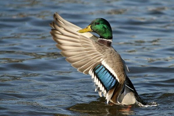 nie ma to jak rozprostować skrzydła
