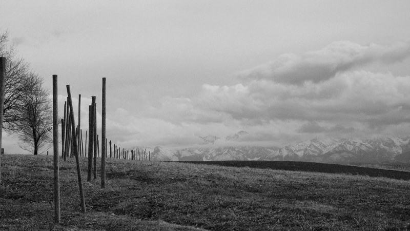 W drodze do Nowego Sącza