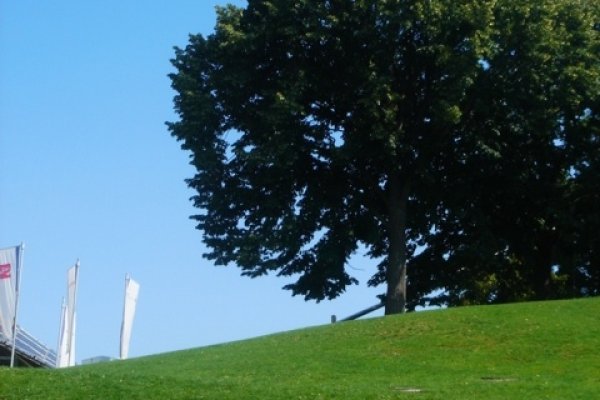 na zielono i niebiesko.