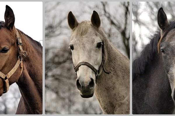 ...brunetki,blondynki, ja wszystkie was dziewczynki....