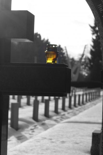 Pomnik "Braterstwa Broni"