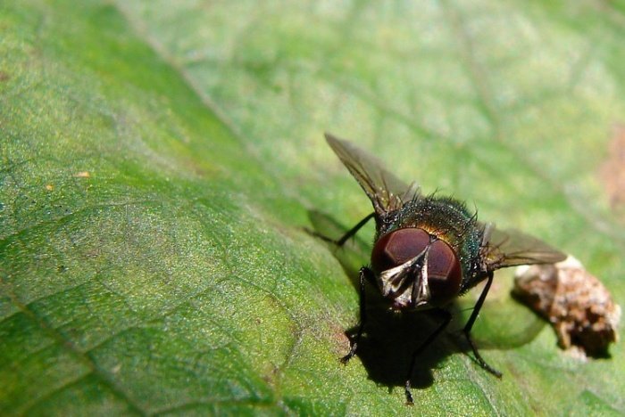 I co sie tak gapisz :)