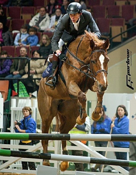 Parada Horse Show Katowice