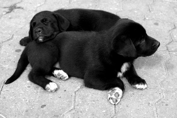 ...ja waruję, a Ty śpisz...za 2 godziny zmiana ;)