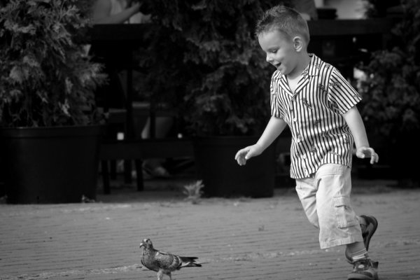 ...gonić, złapać...