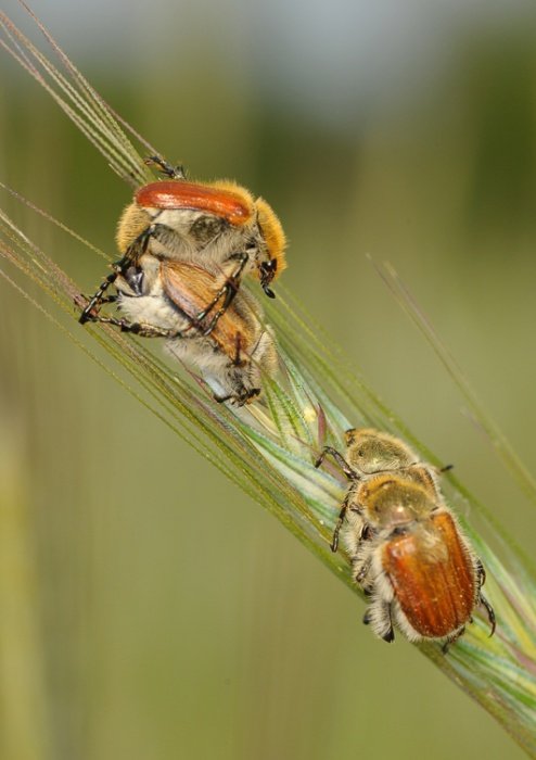 W parach raźniej...