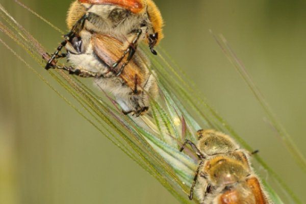 W parach raźniej...