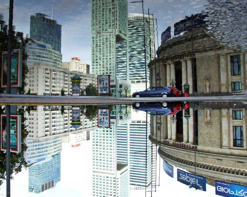 Follow the white rabbit