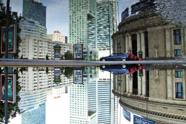 Follow the white rabbit