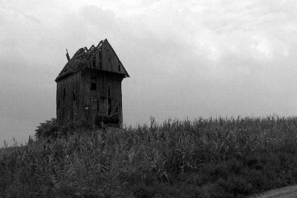 Stary wiatrak B&W