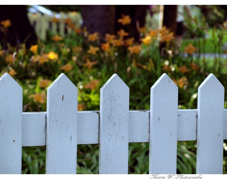 White fence