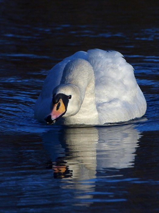 a ja gwiżdże sobie na taka zimę....