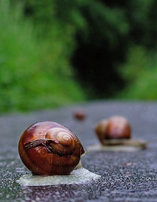 Idę tam gdzie idę, nie idę gdzie nie idę...