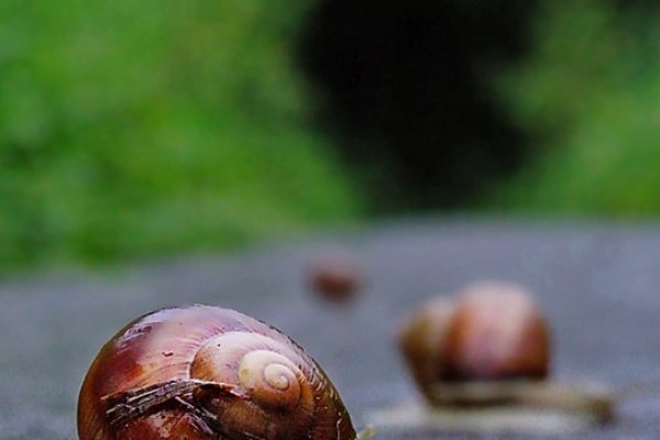 Idę tam gdzie idę, nie idę gdzie nie idę...