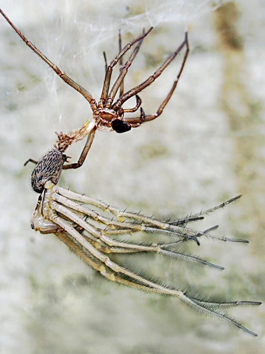 Czasem ma się po prostu dość...