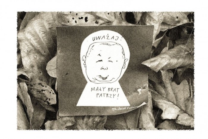 Znalezione w lesie...