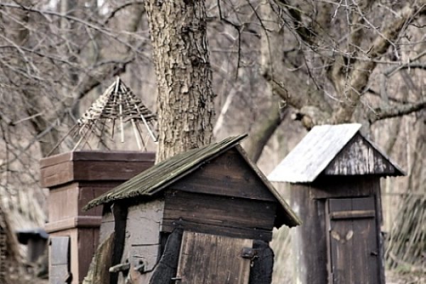 ...krowa daje mleko,pszczoły daja miód...