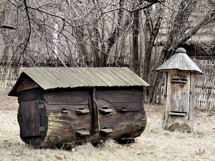 Puchatkowa spiżarnia