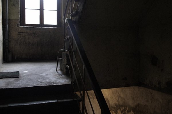 Okno do lepszego świata