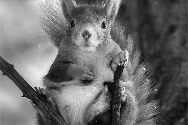 Jeden ruch i po wszystkim