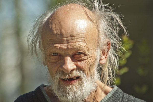 Portret  starszego pana